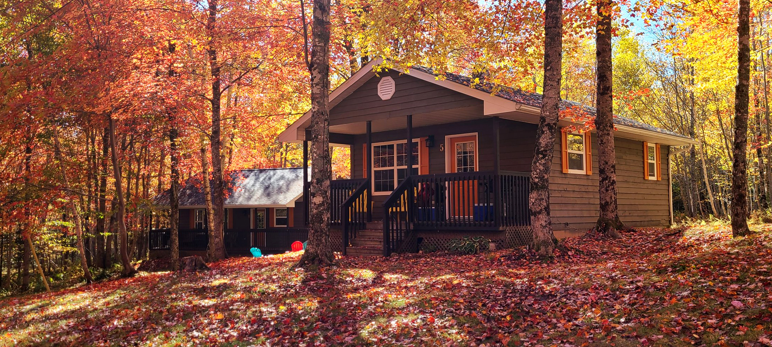 An image of two small wooden cottages nestled into the trees during the fall season at Tidal Bore Rafting Resort.