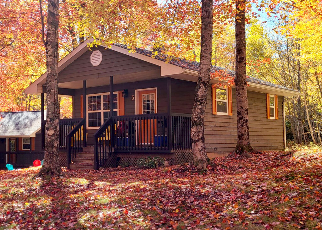 A small wood cottage with a front patio sits nestled among the trees during the fall season at Tidal Bore Rafting Resort in Nova Scotia.