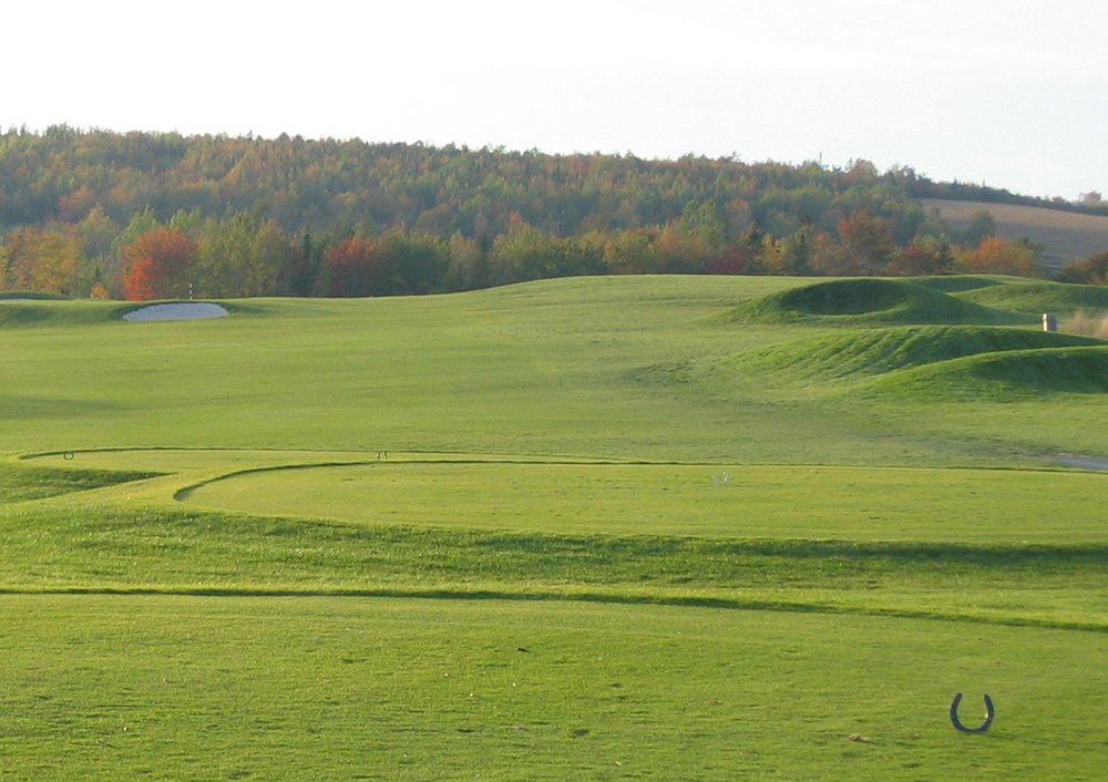 A landscape view of a rolling golf course with a stand of trees in the background.