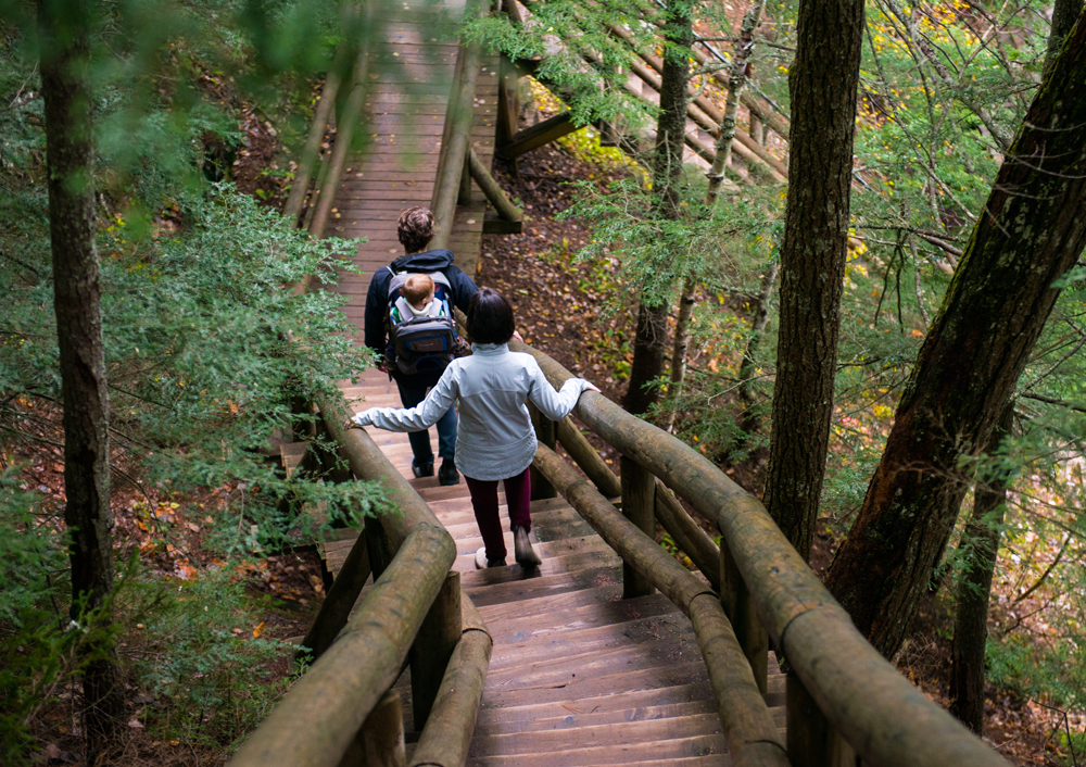 A couple with a small baby hiking down the wooden stairs along a trail in Victoria Park, in Truro, Nova Scotia.